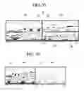 Fig. 53 - Dual display with pointer controlled by a remote device