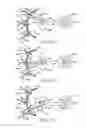 Fig. 26 - Quantitative three-dimensional imaging of surgical scenes from multiport perspectives