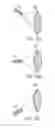 Fig. 29 - Quantitative three-dimensional imaging of surgical scenes from multiport perspectives