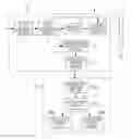 Fig. 01 - Projector for displaying a 3-dimensional stereoscopic image