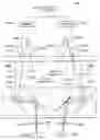 Fig. 01 - Medical devices, systems, and methods using eye gaze tracking for stereo viewer