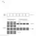 Fig. 01 - Systems and methods for applying multiple encodings to video portions