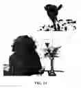 Fig. 14 - VIDEO CHROMINANCE INFORMATION CODING AND VIDEO PROCESSING