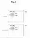 Fig. 07 - 3D VIDEO ENCODING/DECODING METHOD AND DEVICE