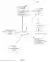 Fig. 02 - Dynamic video overlays