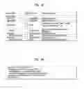 Fig. 43 - BROADCAST TRANSMISSION DEVICE, BROADCAST RECEPTION DEVICE, METHOD FOR OPERATING BROADCAST TRANSMISSION DEVICE, AND METHOD FOR OPERATING BROADCAST RECEPTION DEVICE