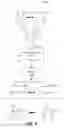 Fig. 02 - ATTRACTING USER ATTENTION TO ADVERTISEMENTS