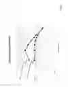 Fig. 07 - Apparatus and methods for audio-tactile spatialization of sound and perception of bass