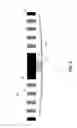 Fig. 06 - Center-fixed MEMS microphone membrane