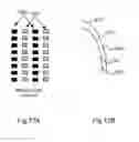Fig. 31 - Method and system for improving the location of fixed wireless CBSD nodes