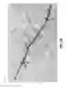 Fig. 13 - Determining mobile device location based on a particle swarm approach