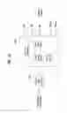 Fig. 11 - Apparatus for transmitting broadcast signals, apparatus for receiving broadcast signals, method for transmitting broadcast signals and method for receiving broadcast signals