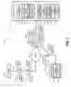Fig. 02 - Complex Computing Operation for Determining Suitability of Data Presentation on a Mobile Device