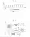 Fig. 06 - Method for establishing layer-2 entities for D2D communication system and device therefor