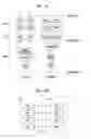 Fig. 09 - Method for processing received RLC PDUs for D2D communication system and device therefor