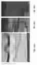 Fig. 05 - Multi-component nanoinks for direct write applications