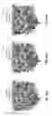 Fig. 09 - Multi-component nanoinks for direct write applications