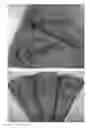 Fig. 01 - Apparatus and method for the decoration of foodstuffs