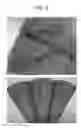 Fig. 04 - Apparatus and method for the decoration of foodstuffs