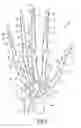 Fig. 02 - Glove with expandable finger stall