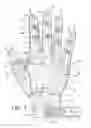 Fig. 04 - Glove with expandable finger stall
