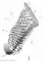 Fig. 07 - Interwoven lattice structure for cushioning member