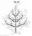 Fig. 07 - Modular tree with locking trunk and locking electrical connectors