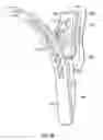 Fig. 07 - ERGONOMICALLY DESIGNED VAGINAL SPECULUM