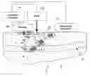 Fig. 02 - Method of noninvasive optical measurement of properties of free-flowing blood