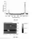 Fig. 52 - GRAPHENE-BASED NANOSENSOR FOR IDENTIFYING TARGET ANALYTES