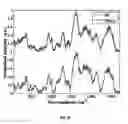 Fig. 09 - Noninvasive method for estimating glucose blood constituents