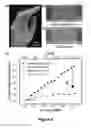 Fig. 07 - Appendage mountable electronic devices conformable to surfaces