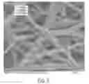 Fig. 06 - Implantable sealable member with mesh layer