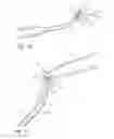 Fig. 07 - METHOD AND APPARATUS FOR PASSING SUTURE THROUGH TISSUE