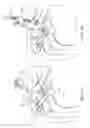 Fig. 04 - Surgical fastening