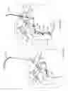 Fig. 07 - Surgical fastening