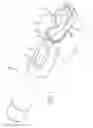 Fig. 02 - Arthroscopic resection methods