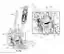 Fig. 06 - Spinous process plate fixation assembly