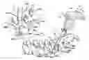 Fig. 01 - Multi-mode torque drivers employing anti-backdrive units for managing pedicle screw attachments with vertebrae, and related systems and methods