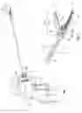 Fig. 02 - Surgical instruments capable of being selectively disassembled to facilitate replacement of disposable components and/or sterilization of reusable components
