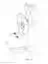 Fig. 12 - NOVEL DENTAL SCANNER DEVICE AND SYSTEM AND METHODS OF USE