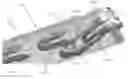 Fig. 01 - Applicator instruments having off-axis surgical fastener delivery