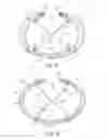 Fig. 06 - Prosthesis for repairing a hernia defect