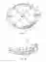 Fig. 07 - Prosthesis for repairing a hernia defect