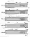 Fig. 19 - Multi-access intraprocedural embolic protection device