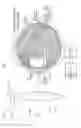 Fig. 09 - Vision system responsive to a presence of a wearable ophthalmic element