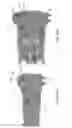Fig. 16 - Expandable intervertebral implant