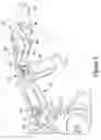 Fig. 04 - Bidirectional biomechanical prosthetic full finger configured for abduction and adduction with MCP pivot and multiple-finger ring