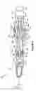 Fig. 09 - Bidirectional biomechanical prosthetic full finger configured for abduction and adduction with MCP pivot and multiple-finger ring