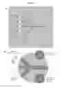Fig. 04 - Microfluidic liposome synthesis, purification and active drug loading